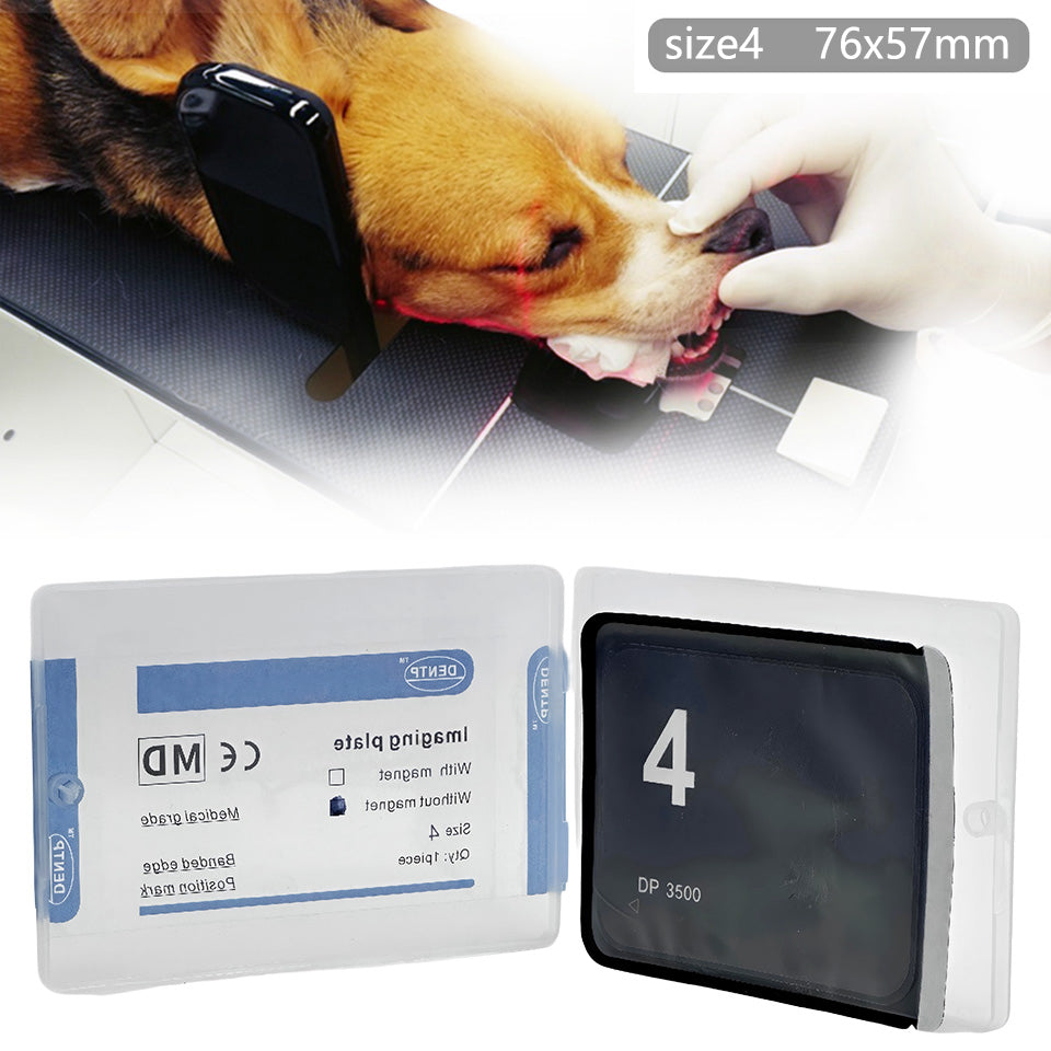 Size 4 Veterinary Dental PSP Imaging Plate 76 × 57 mm